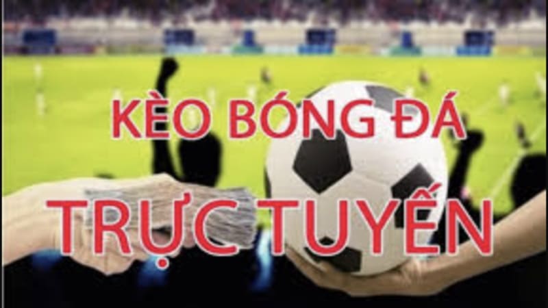 Keonhacai là gì và vai trò trong cá cược