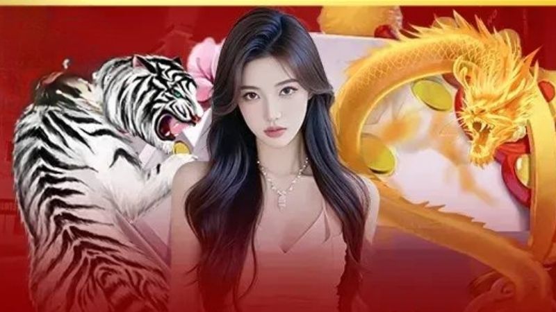 Chiến Lược Chơi Rồng Hổ | Kinh Nghiệm Thực Chiến Kubet
