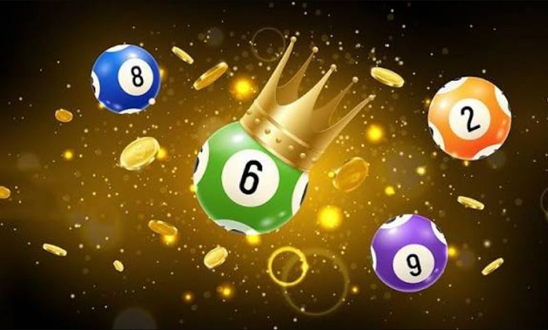 Những Lưu Ý Quan Trọng Khi Nuôi Lô Khung 7 Ngày