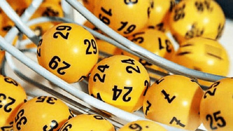 Bản Chất Của Phương Pháp Nuôi Lô Khung 7 Ngày Là Gì?